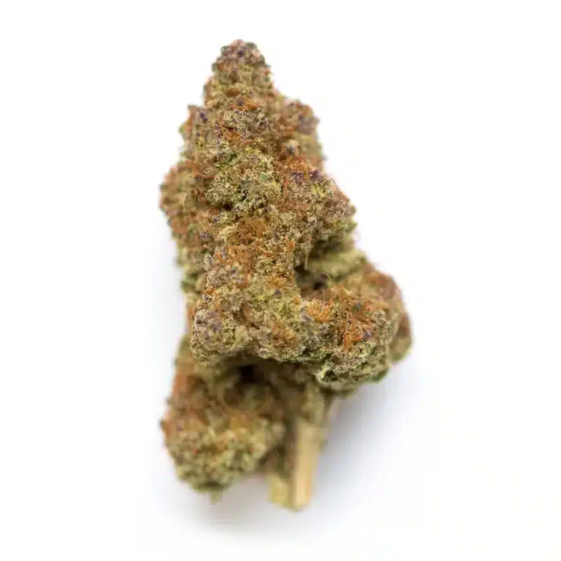 Anubis Strain