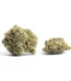 Apple Kush Strain