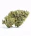 Apple Mintz Strain