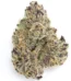 Apple Tartz Strain