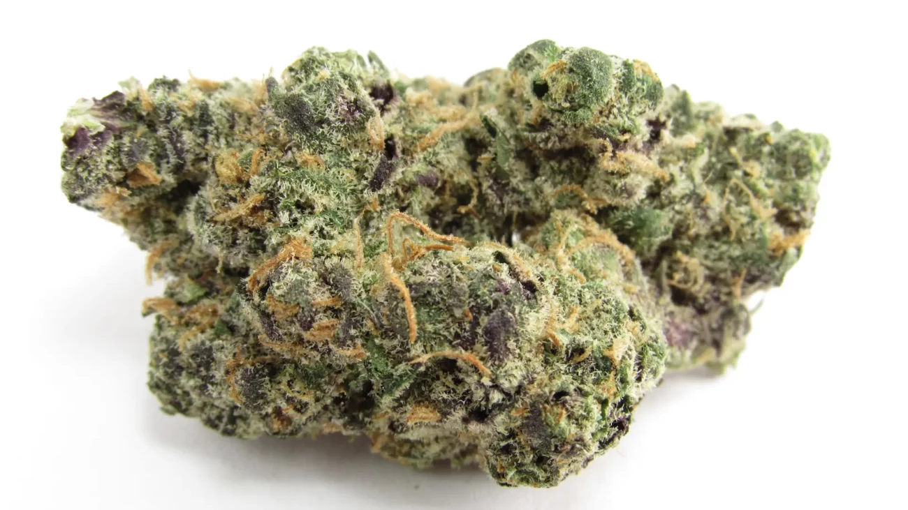Apples to Apples Strain