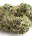 Apples to Apples Strain