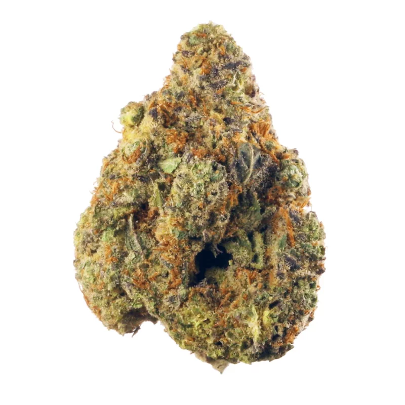 Astroboy Strain