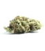 Astronaut Ice Cream Strain