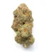 Atomic Goat Strain