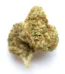 Atomic Northern Lights Strain