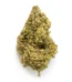 Avi Strain