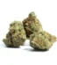 Aymi Strain