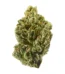 B.B. King Strain