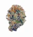 Bad Azz Kush Strain