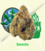 Badazz Cheese Seeds