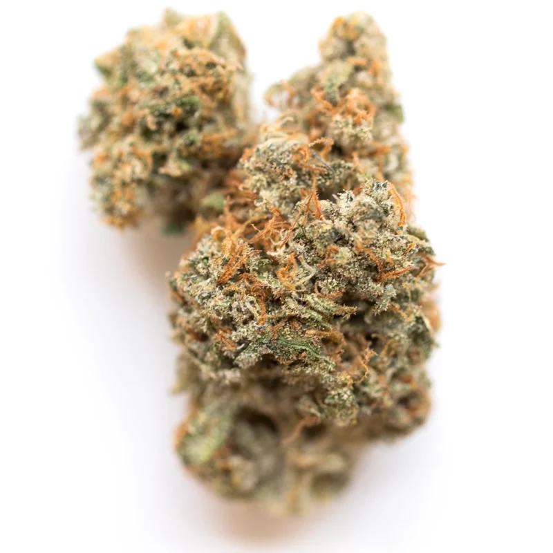 Banana Daddy Strain