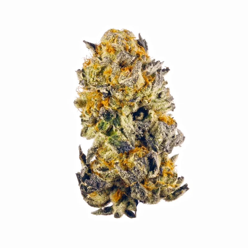 Banana Punch Strain