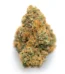 Berry White Strain