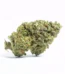 Big Buddha Cheese Strain
