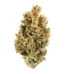 Black Jack Strain