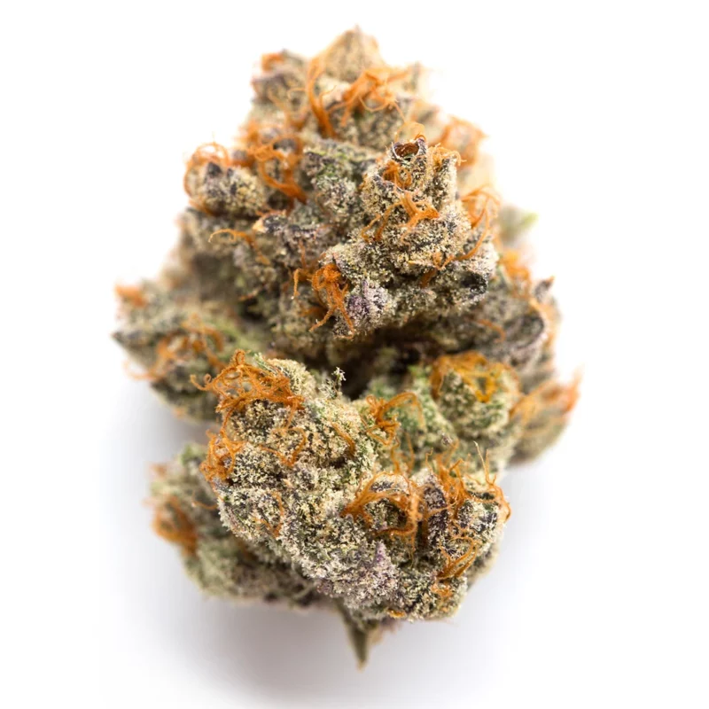Blackberry Strain