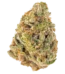 Blackwater Strain
