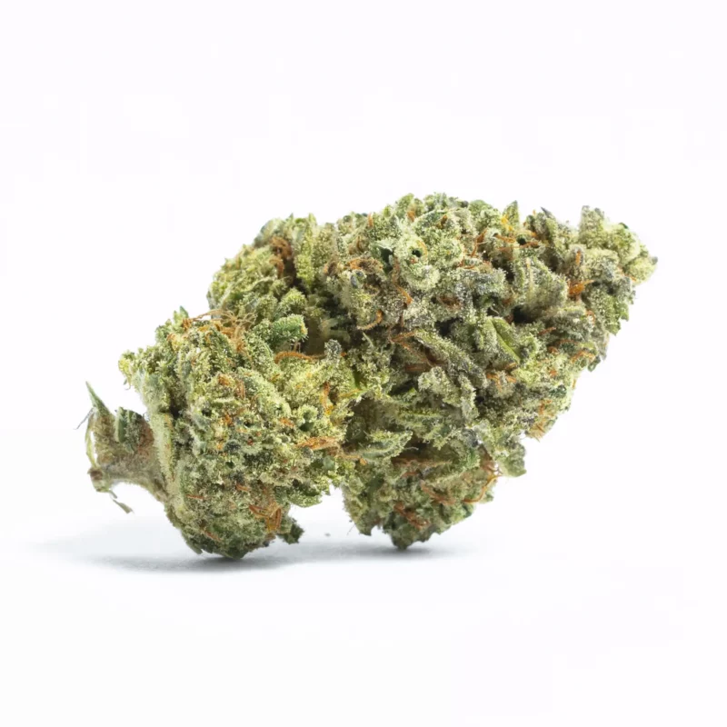 Blueberry Cheesecake Strain