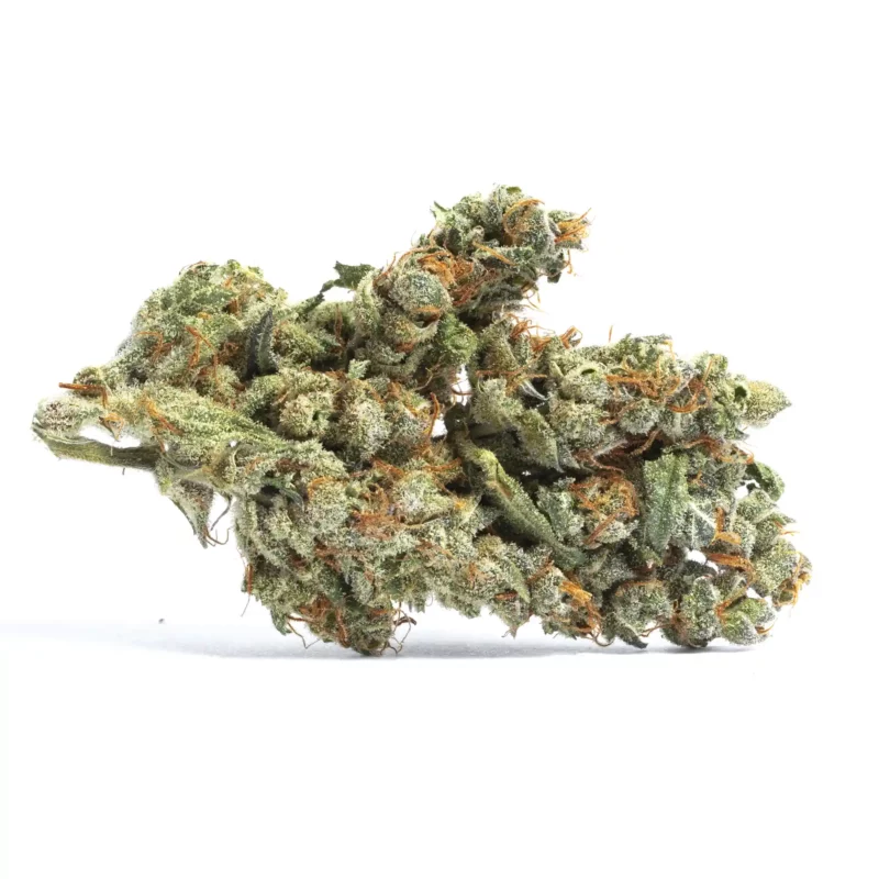 Blueberry Cookies Strain