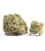 Blueberry Cruffin Strain