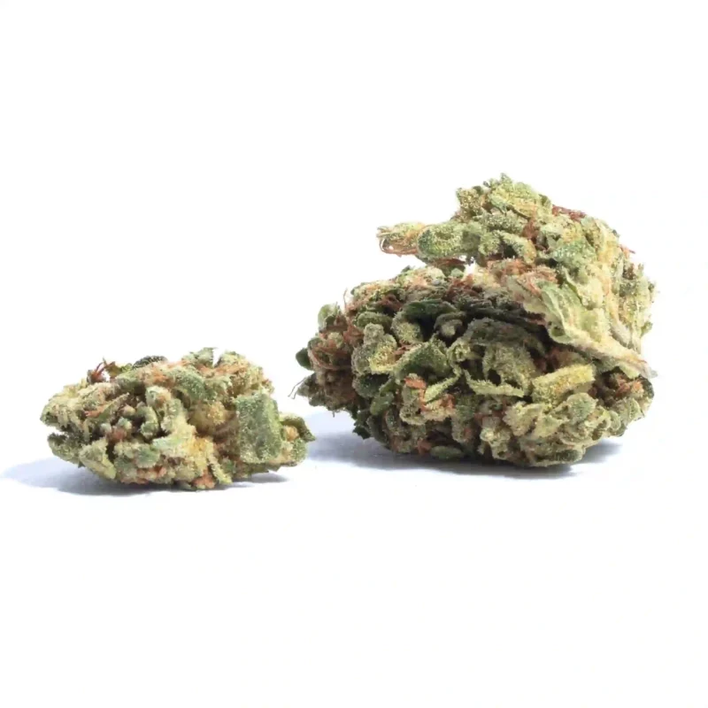 Blueberry Diesel Strain
