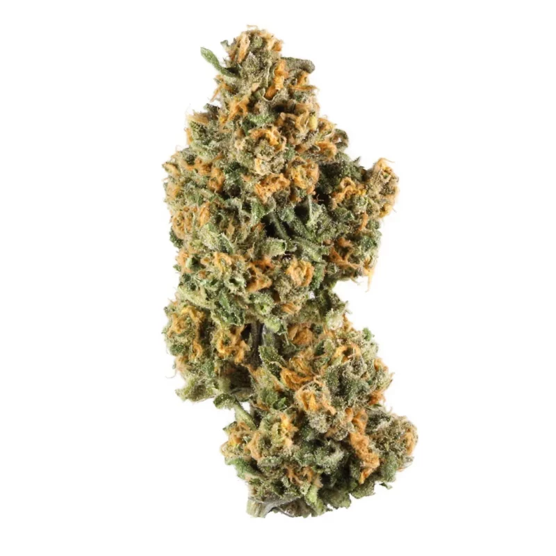 Blueberry Lambsbread Strain