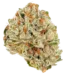 Blueberry Silvertip Strain