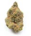Boss OG Strain