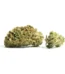 Burmese Kush Strain