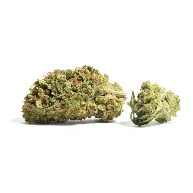 Burmese Kush Strain