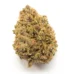 Butter OG Strain