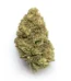 Cake Pop Strain