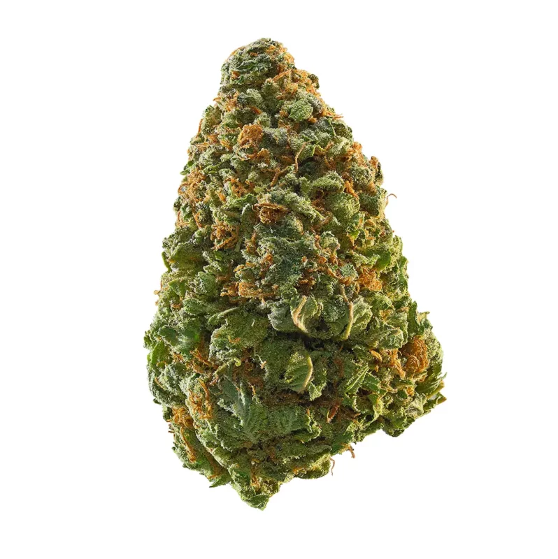Caramel Apple Gelato Strain