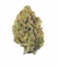 Casey Jones Strain