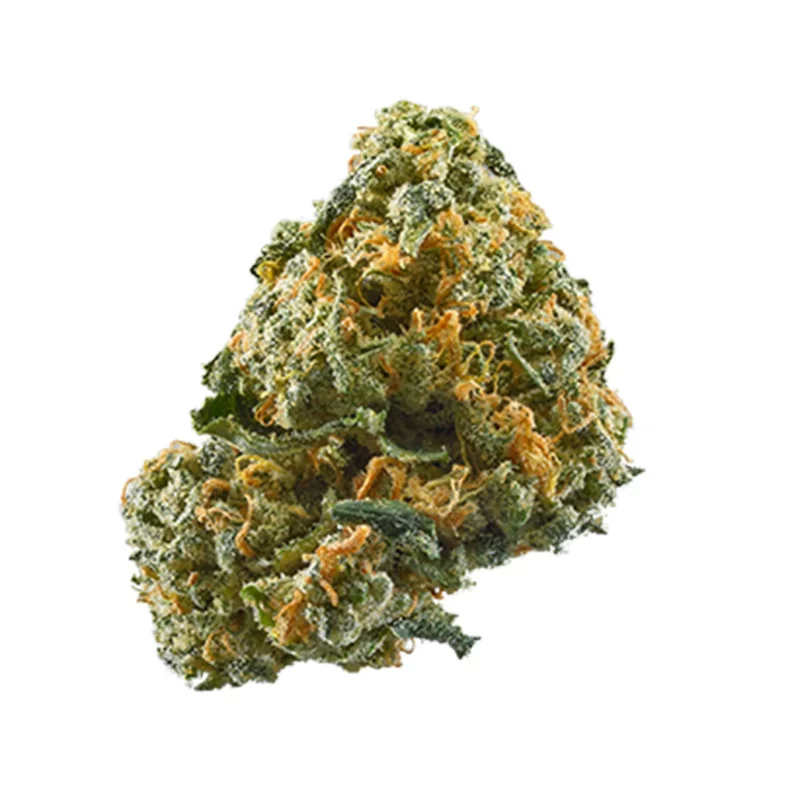 Cheese Strain