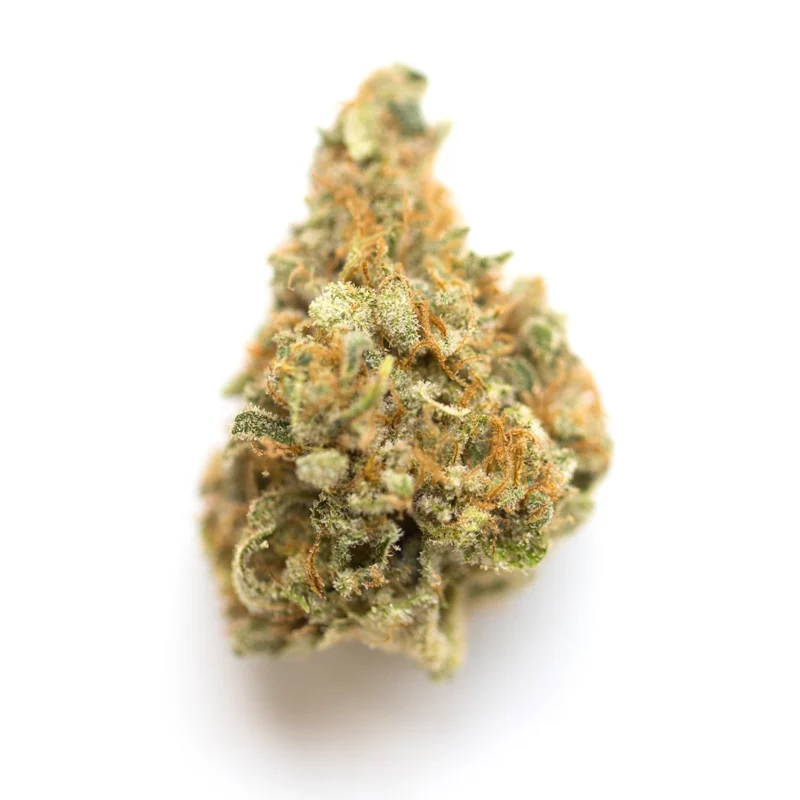 Cherry Cheesecake Strain