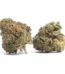 Cherry Runtz Strain
