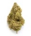 Cherry Wine Strain