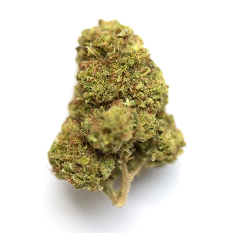 Chocolate Mint OG Strain