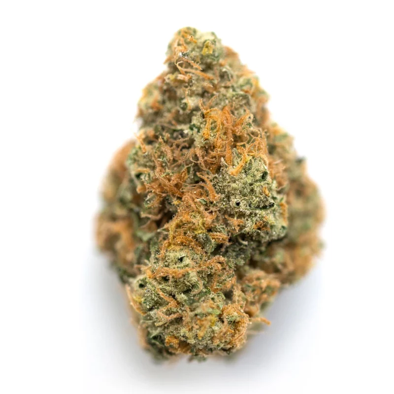 Citral Glue Strain