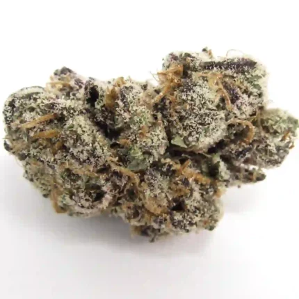 Coochie Runtz Strain