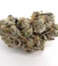 Coochie Runtz Strain