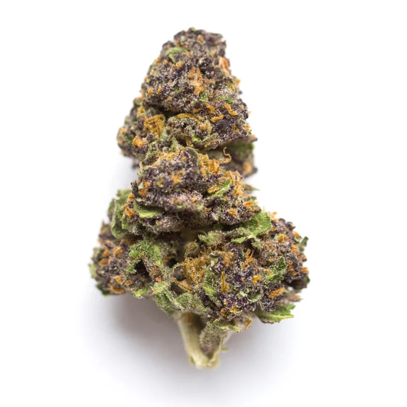 Cookie Monster Strain