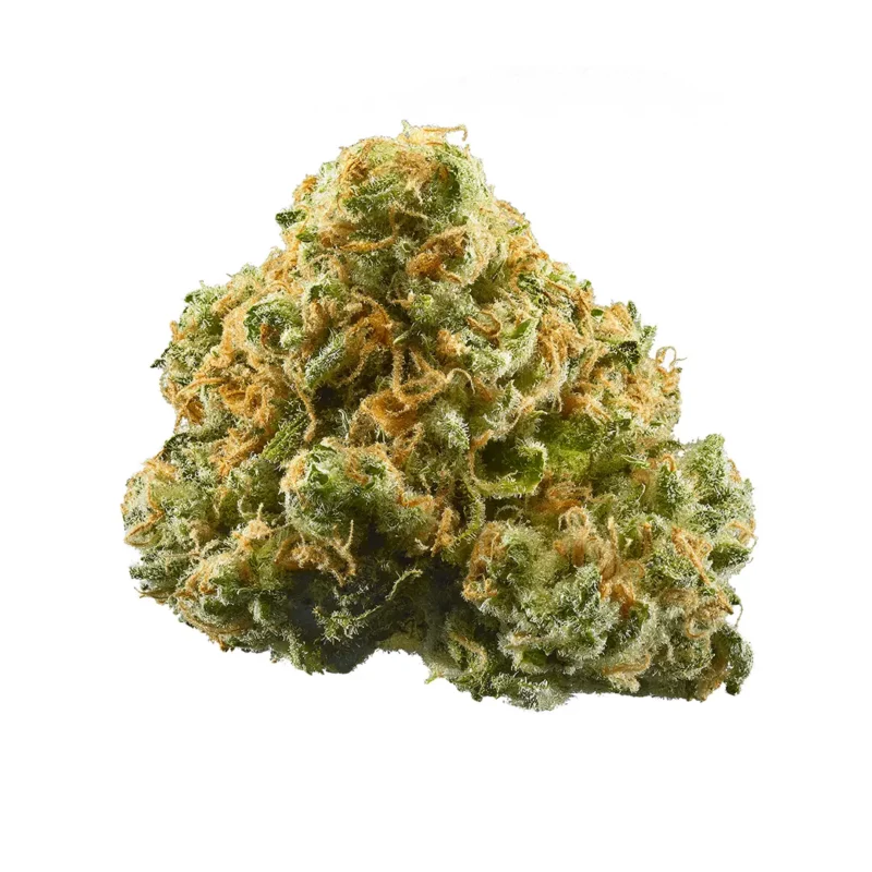 Critical Haze Strain
