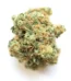 Crystal Coma Strain
