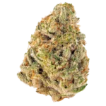 Double OG Strain