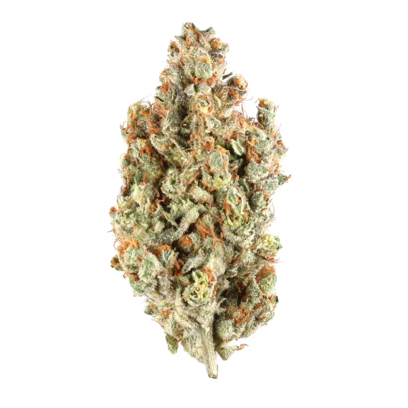 Dream Queen Strain