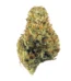 Dutch Treat Strain