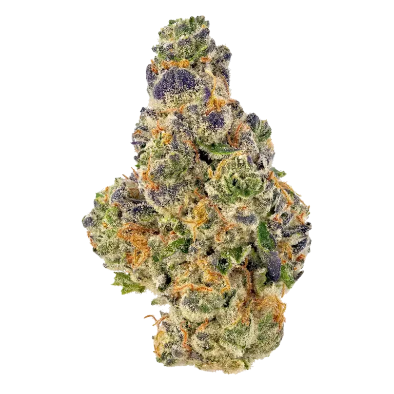 Extreme Cream Strain